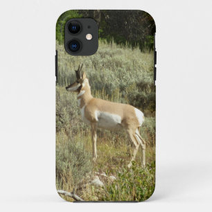 Capa Para iPhone 11 Pronghorn no Grand Teton National Park