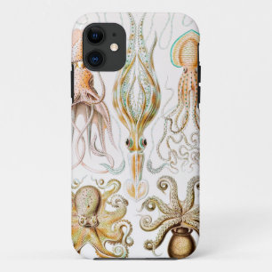 Capa Para iPhone 11 Pula de Octopus, Gamochonia por Ernst Haeckel