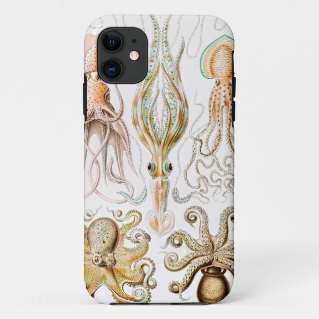 Capa Para iPhone 11 Pula de Octopus, Gamochonia por Ernst Haeckel (Verso)