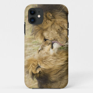 Capa Para iPhone 11 Quênia, Masai Mara