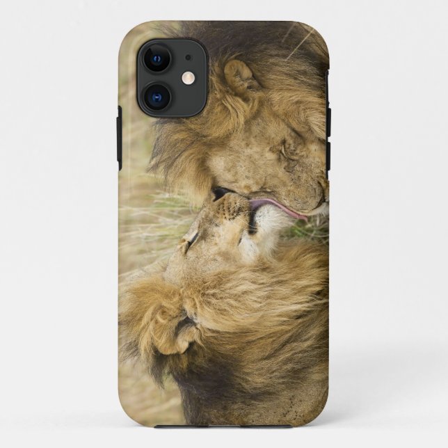 Capa Para iPhone 11 Quênia, Masai Mara (Verso)
