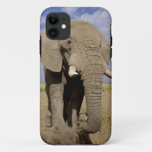 Capa Para iPhone 11 Quênia: Parque Nacional de Amboseli, elefante masc