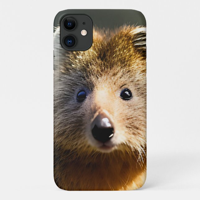 Capa Para iPhone 11 Quintin The Ginger Quokka (Verso)