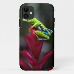 Capa Para iPhone 11 Rã-arbórea-de-olho-vermelho