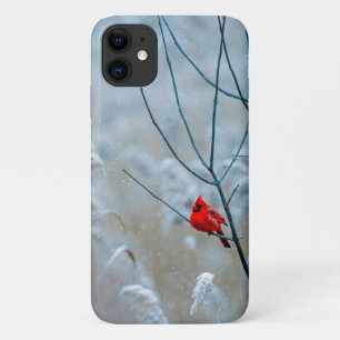 Capa Para iPhone 11 Red Cardinal no inverno Foto do Natal