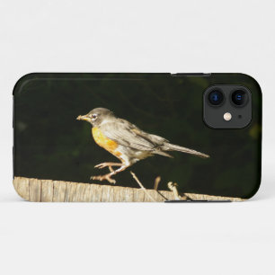 Capa Para iPhone 11 Red Robin
