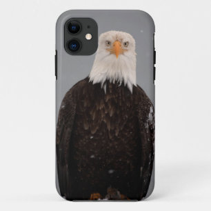 Capa Para iPhone 11 Retrato de Águia Americana na Neve, Haliaeetus