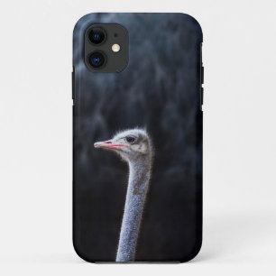Capa Para iPhone 11 retrato de avestruz