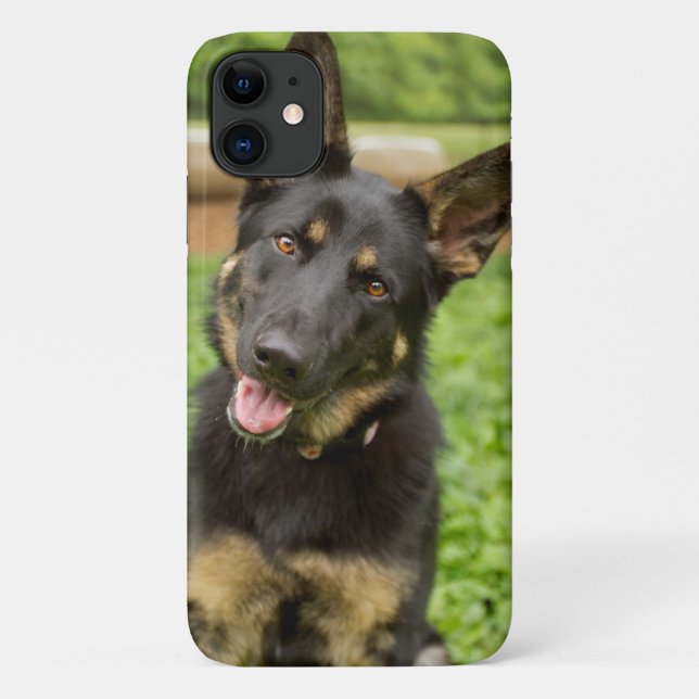 Capa Para iPhone 11 Retrato de um German shepherd (Verso)