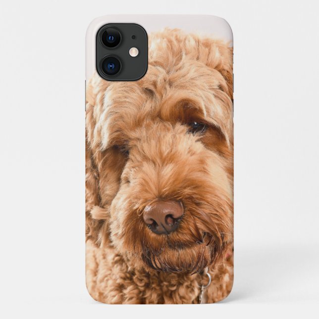 Capa Para iPhone 11 Retrato do Goldendoodle Studio (Verso)