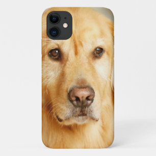 Capa Para iPhone 11 Retrato do Ouro Retriever
