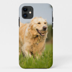 Capa Para iPhone 11 Retriever de ouro