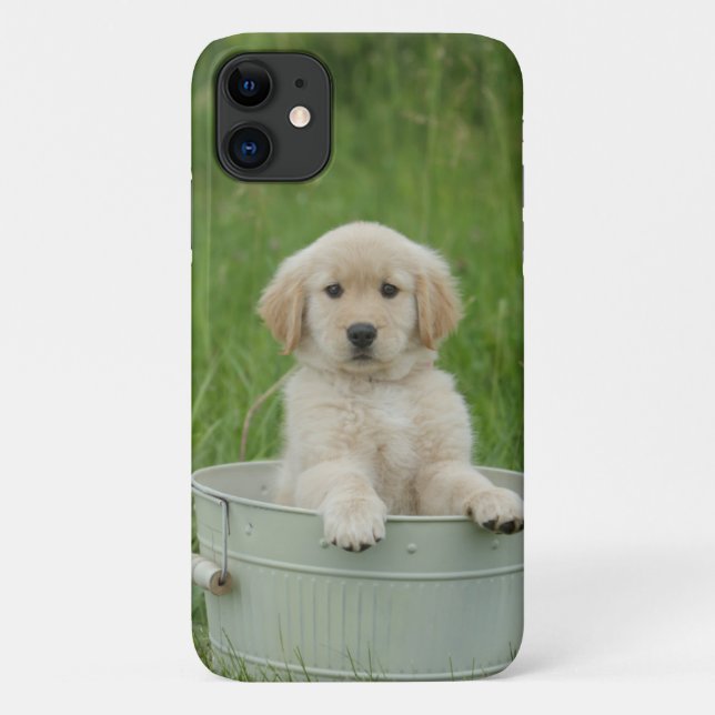 Capa Para iPhone 11 Retriever De Ouros Em Lavagem (Verso)