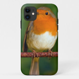 Capa Para iPhone 11 Robin Red Breast