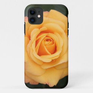 Capa Para iPhone 11 rosa floresce amante esposa casal