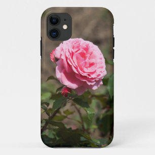 Capa Para iPhone 11 rosa rosa botões vermelhos