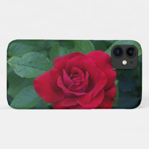 Capa Para iPhone 11 Rosa vermelha para fechar