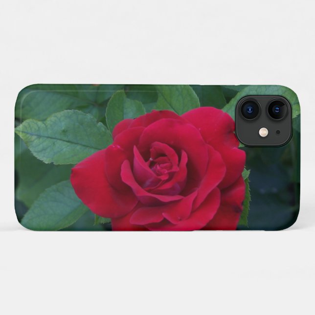 Capa Para iPhone 11 Rosa vermelha para fechar (Verso (horizontal))