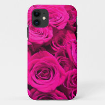 Rosas rosa flores rosa floração rosa rosa