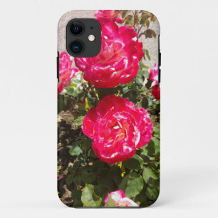 Capa Para iPhone 11 Rosas vermelhos do jardim