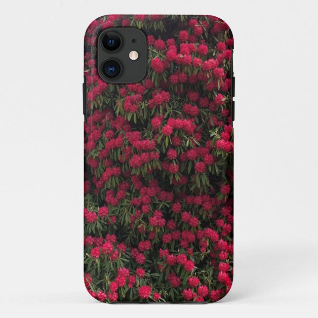 Capa Para iPhone 11 Roubo Rhododendron na Flor do Cheio (Verso)