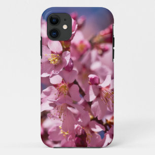 Capa Para iPhone 11 Sakura Cherry Blossoms beijados à luz do sol