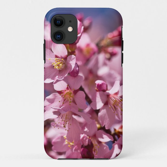 Capa Para iPhone 11 Sakura Cherry Blossoms beijados à luz do sol (Verso)