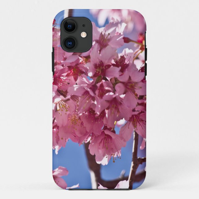 Capa Para iPhone 11 Sakura Cherry Blossoms Red Stars (Verso)