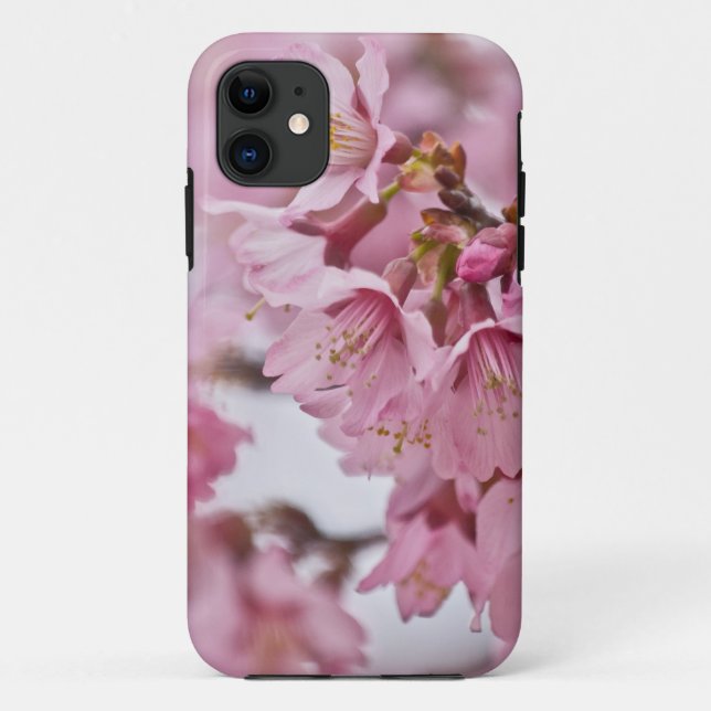 Capa Para iPhone 11 Sakura Flores de Cerejeira Rosa Pálido (Verso)