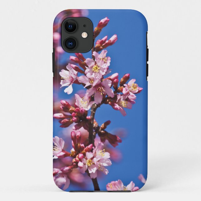 Capa Para iPhone 11 Sakura Flores de Cerejeira Tocando o Azul (Verso)