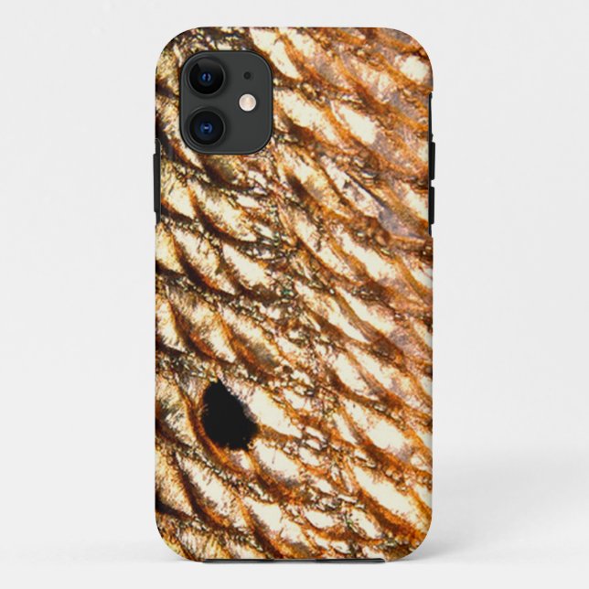 Capa Para iPhone 11 Salmonetess pela pesca com mosca de Patternwear© (Verso)
