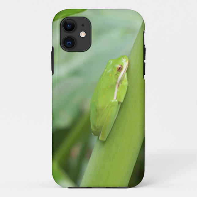 Capa Para iPhone 11 sapo de árvore verde com sono (Verso)