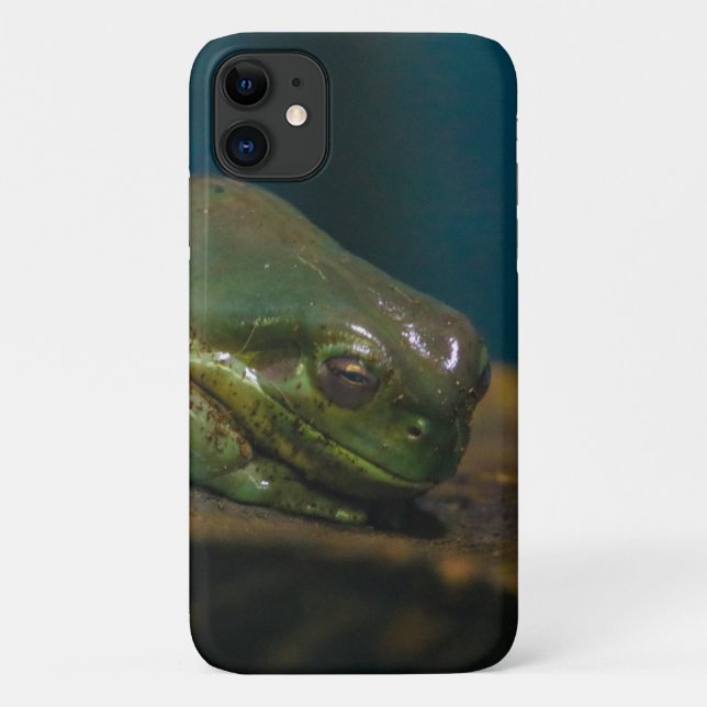 Capa Para iPhone 11 sapo de sequestro (Verso)