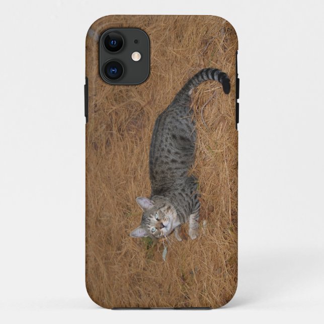 Capa Para iPhone 11 Savannah Cat iPhone 5 (Verso)