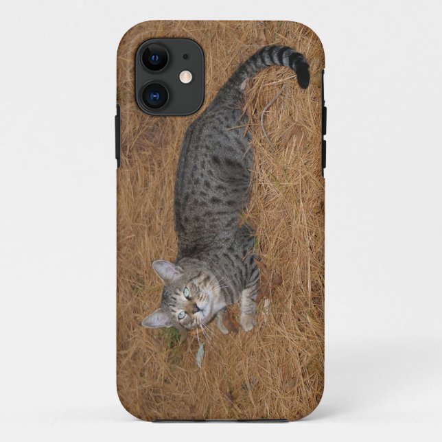 Capa Para iPhone 11 Savannah Cat iPhone 5 (Verso)