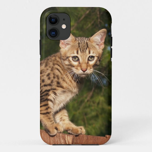 Capa Para iPhone 11 Savannah Cat iPhone 5 Case-Mate mal lá (Verso)