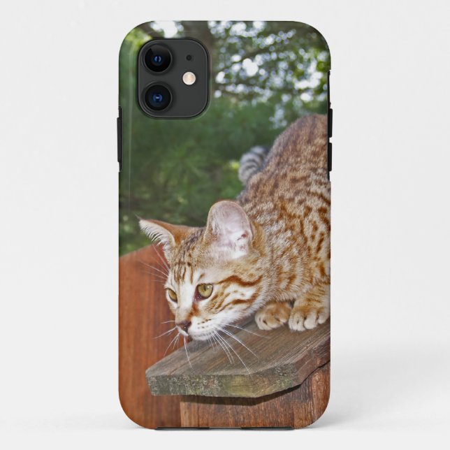 Capa Para iPhone 11 Savannah Cat iPhone 5 Identificação personalizada  (Verso)