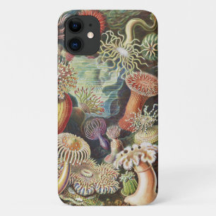 Capa Para iPhone 11 Sea Anemones, Actiniae Seeanemonen Ernst Haeckel