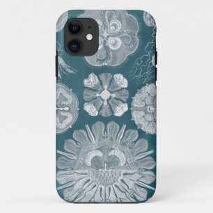 Capa Para iPhone 11 Sealife Blueprint IV