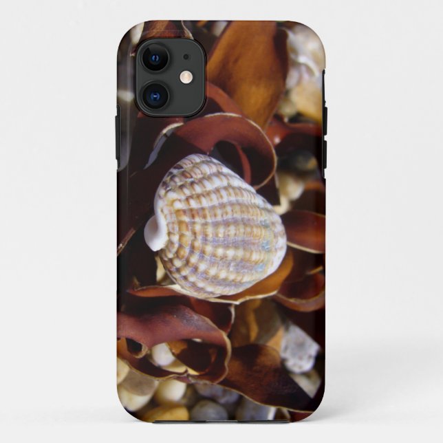 Capa Para iPhone 11 Seashell (Verso)