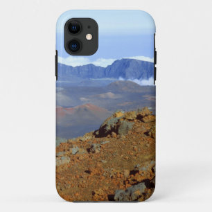 Capa Para iPhone 11 Silversword no cume da cratera Haleakala a partir