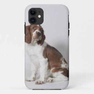 Capa Para iPhone 11 Spaniel de Springer