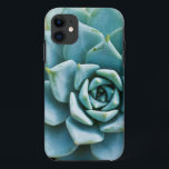 Capa Para iPhone 11 Suculente<br><div class="desc">Rico com textura pontiaguda,  este aqua,  uma suculência verde de seafoam é plantada em um leito de seixos bronzeados.</div>