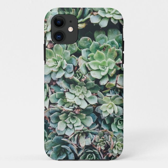 Capa Para iPhone 11 Suculentes 2 (Verso)