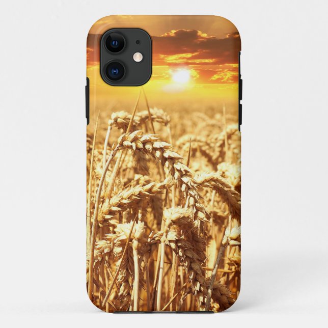 Capa Para iPhone 11 Sunset Sobre Cornfield (Verso)