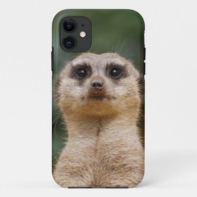 Capa Para iPhone 11 Suricata 001 (Verso)