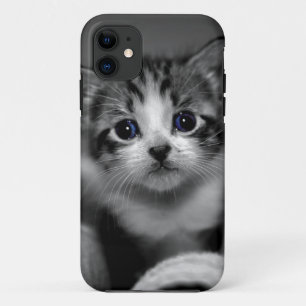 Capa Para iPhone 11 Sweet Tabby Kitten