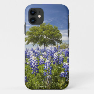 Capa Para iPhone 11 Texas bluebonnets(lupinus texensis) e carvalho