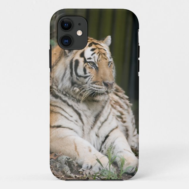 Capa Para iPhone 11 Tigre (Verso)