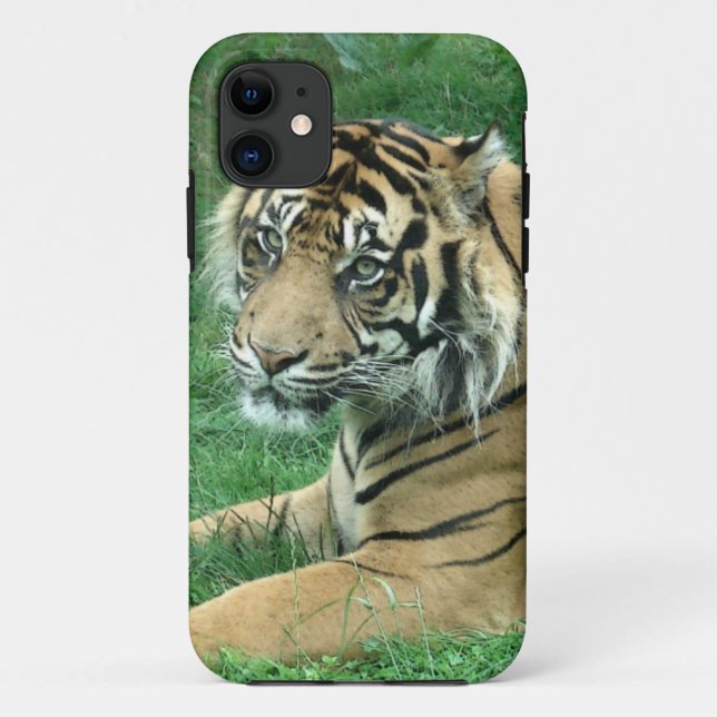 Capa Para iPhone 11 Tigre de Sumatra no iPhone 5 mal lá (Verso)